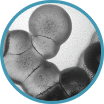 MRSA